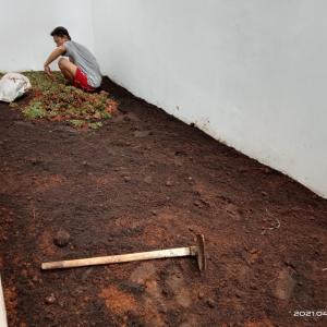 harga jadi jasa pembuatan taman Komplek paradise