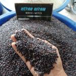 Produsen Beras untuk ekspor