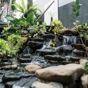 JASA MEMBUAT TAMAN ,KOLAM IKAN (BATU ALAM ,MINIMALIS,RELIEF ,TEBING)