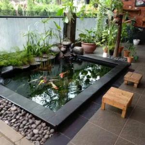 jasa pembuatan kolam ikan koi