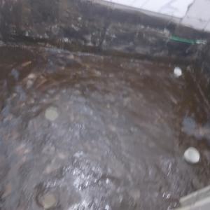 jasa membran bakar pelapis di cikarang