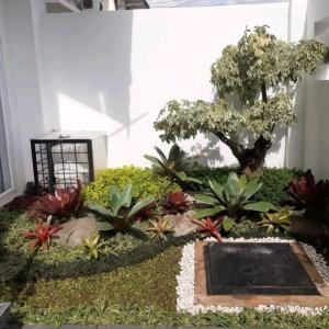 jasa taman depan rumah