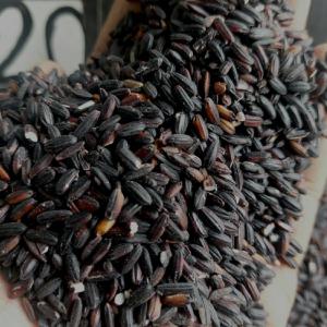 Produsen Beras Custom Kemasan di cianjur