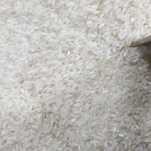 BERAS SLYP SETRA ROJOLELE 10KG