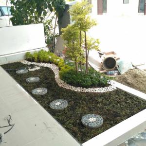 jasa pembuatan taman seperti di gambar terima rapih