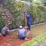 desain jasa pembuatan taman vertikal garden terbaik