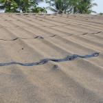 jasa waterproofing membran bakar di tangerang